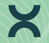 Xeeft logo